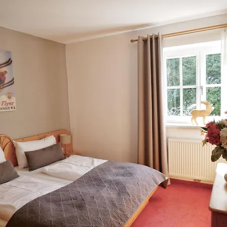 Daire Alpinresort 11 By Interhome *